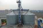 1500 2000 15000 20000 Bushel Grain Bin Vertical Hot Dip Galvanizing Coating