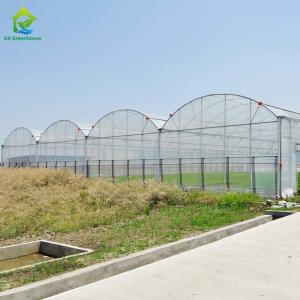 Wholesale Multi Span Hydroponic Tomato Plastic Greenhouse 150 Micron Plastic Film Covering from china suppliers