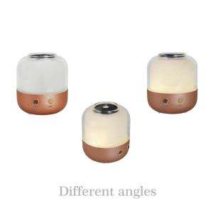 Mini USB Electric Aroma Diffuser Ultrasonic Aromatherapy Diffuser