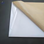 Cast Process White Black Colored Acrylic Panel Sheet Weather Resistant Wholesale