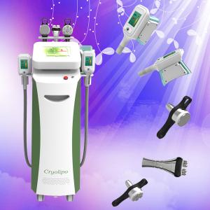 Wholesale World Popular Cryolipolysis slimming device for fat losing on whole body from china suppliers