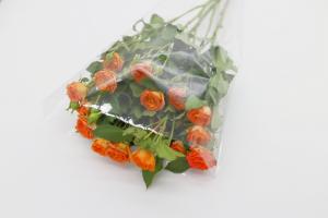 Wholesale Transparent Plastic OPP Packaging Bag 180 Microns Oil Proof from china suppliers