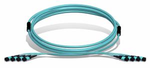 Wholesale MTP / MPO Trunk Cable 48F 48 72 96 Cores 100G Ethernet OM3 OM4 Patch Cord from china suppliers