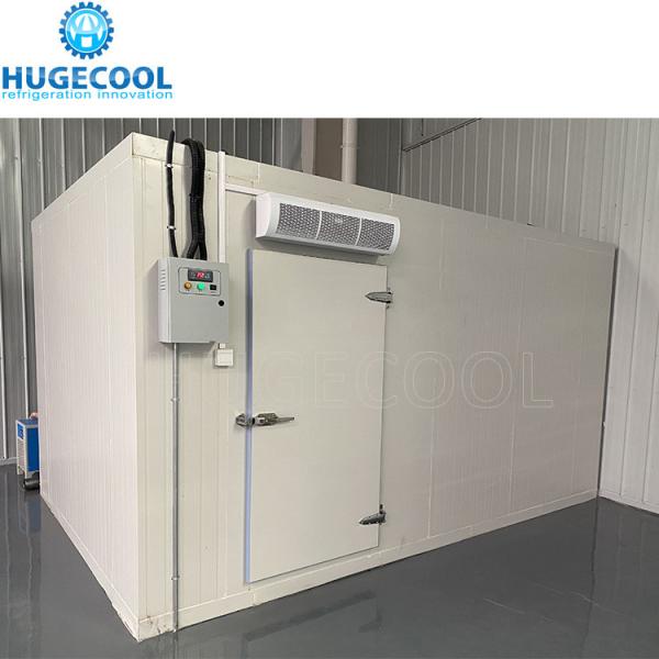 walk-in freezer room for seafood fish meat chicken beef storage with copeland