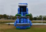 Professional Party Water Slide Jumper Fun Pool Side Popular Safe Ended Durable