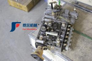 Wholesale 4110000565197 Mechanical Fuel Injection Pump CP61Z-P61Z612+A from china suppliers