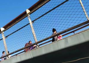 Wholesale 2.0 Mm Wire 60x60 MM SS 304 Flexible Safety Netting For Bridge from china suppliers