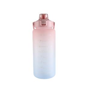 Wholesale Outdoor Portable Big Volume Drink Bottles Mugs Gradient Color Unique Design from china suppliers