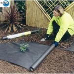 Wholesale OEM Black PP Woven Weed Barrier Ground Cover Fabric for Blueberry