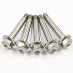 Titanium Bolts GR5 TC4 Ti-6al-4v Titanium Fastener for Automobiles and