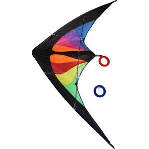 Wholesale 160*80cm OEM ODM Delta Sport Kite With Polyester Material from china suppliers
