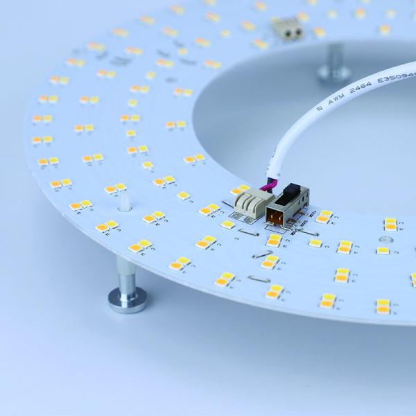 Modern Ceiling Light Fixtures Energy Saving Dimmable LED Ceiling Fan CRI 80 200