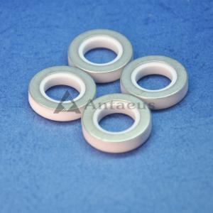 China Alumina Ceramic Gasket Mechanical Strength Alumina Ceramic O Ring for BYD on sale