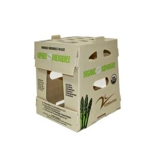 Wholesale PP PE Mango Corrugated Box Polypropylene Corflute Storage Boxes from china suppliers