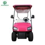 2022 hot sale cheap price electric golf carts 4 wheels 2 seats mini golf buggy