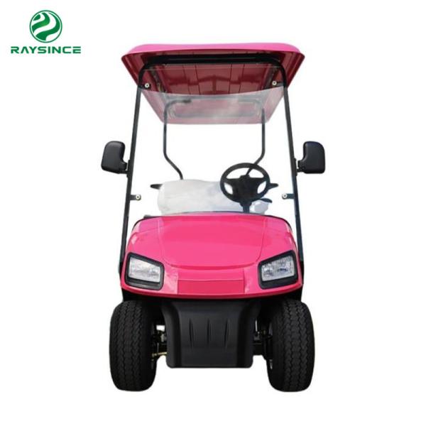 2022 hot sale cheap price electric golf carts 4 wheels 2 seats mini golf buggy