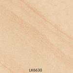 Antibacterial 600x600mm Full Body Porcelain Tiles And Gray Outdoor Wall Tile For