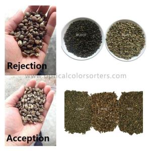 Wholesale 4096 Pixel 1.8KW 220V 50HZ Roasted Coffee CCD Color Sorter from china suppliers