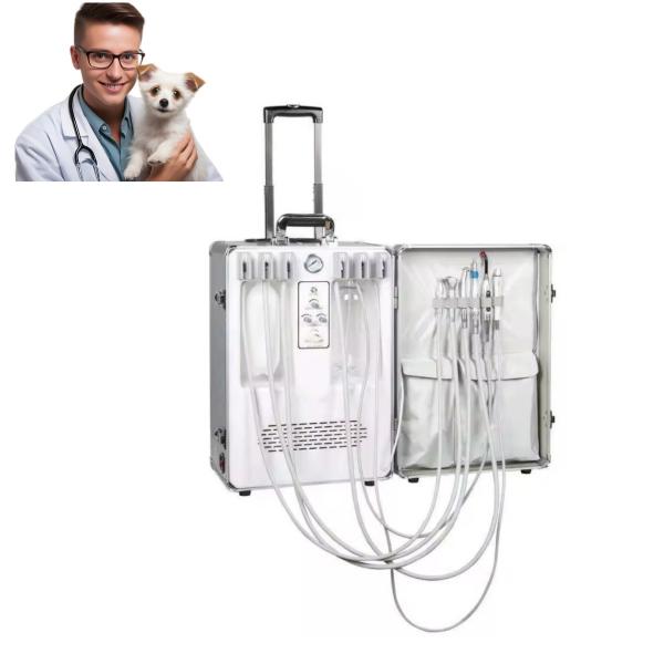 Animal Teeth Clean Portable Dental Operation Equipment Vet Clinic Use Dental