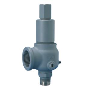 China 900 Series Safety relief valve  Threaded NPT, BSPT, flanged or Tri-clover on sale