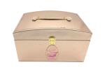 Phoenix 7V Gold Stainless Steel PMU Machine Set Phoenix Permanent Makeup Machine