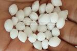 Dry Type Double Roller NPK Powder Fertilizer Compacting Granulator Machine
