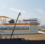 50m Jib Hammer Head Tower Crane 10 Ton