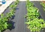 Wholesale OEM Black PP Woven Weed Barrier Ground Cover Fabric for Blueberry