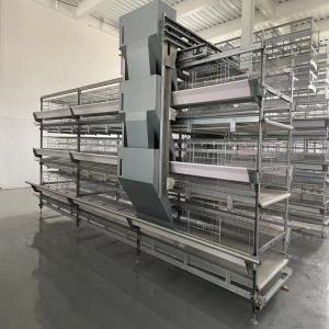 Wholesale Poultry Farming Battery Chicken Cage H Type Fully Automatic For 50000 Egg Layer Hens from china suppliers
