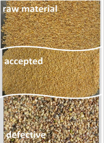 7 Channels Cashew Nut /Beans Processing Machine Intelligent Sort Machine