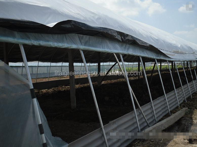 Ventilation Vents for 150/200micro PE Film Covered Greenhouse on Poultry Farm