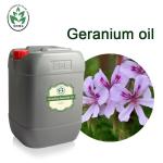 CAS 8000-46-2 100% Pure Rose Geranium Essential Oil Body SPA Use