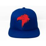 Blank Flat Brim Sports Cap Custom Color Design Snapback Hat For Adult Kid