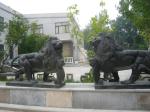 Stone Animal sculpture for garden, marble animal sculptures,China sculpture