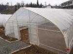 Customized Tunnel Cover Reinforced Clear Greenhouse Plastic Sheeting