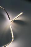 Milewood DOT LED COB Strip Dynamic White DC24V 3 Years Warranty