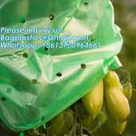 Perforated Tomato Tube Cover Frost Protection Bag Garden Used Cover Tomato