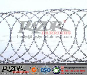 Wholesale Flat wrap Razor Wire/Anping Flatwrap Razor Wire from china suppliers