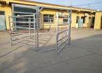 Australia Standard Steel Cattle Fence , Galvanized Horse Fence Panels With 5 / 6
