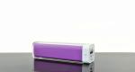 Manufacturer wholesale Portable USB Power Bank With 2600mAh Power Bank YDDY002