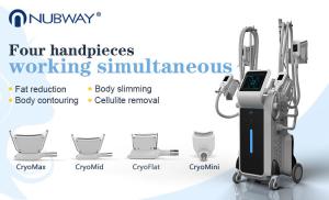 Wholesale 4 cryo handles can work together reduce fat cryolipolysis slimming device from china suppliers