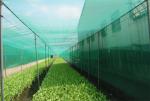 Professional Insect Mesh Netting , Durable Outdoor Mosquito Netting