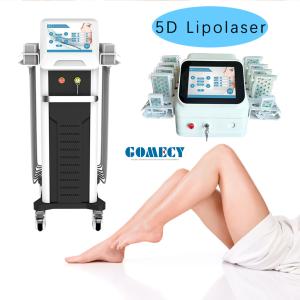 Wholesale Home 16 Pads 5D Lipo Laser Slimming Machine For Fat Reduction from china suppliers