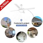 230V 50HZ OEM 4 Iron Blades Dimmable Remote LED Ceiling Fan Light