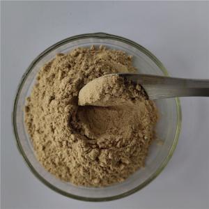 Wholesale Free Sample Detoxification Radix Dichroae Extract from china suppliers