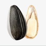 Amazon hot sale Wholesale of high-quality sunflower seed raw materials for oil