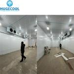 Structure Assembled Cold Storage Room for Sea Food Ice Cream and Dumplings Air