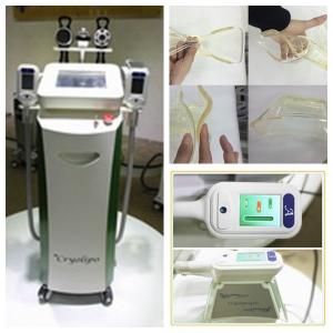 Wholesale Slimming equipment RF+ Vacuum+cavitation+cryolipolysis slimming machine fitness equipment from china suppliers
