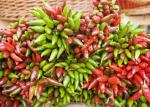 Dried Oval Birds Eye Chillies Rich In Vitamin C For Cooking