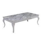 130cmx70cmx45cm Stainless Steel Center Table